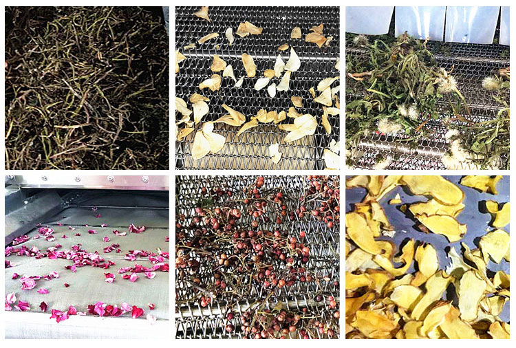 1631342082740447.jpg 烘干箱4.jpg