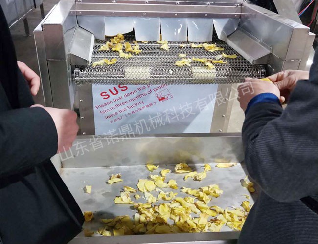 客户烘干土豆片现场